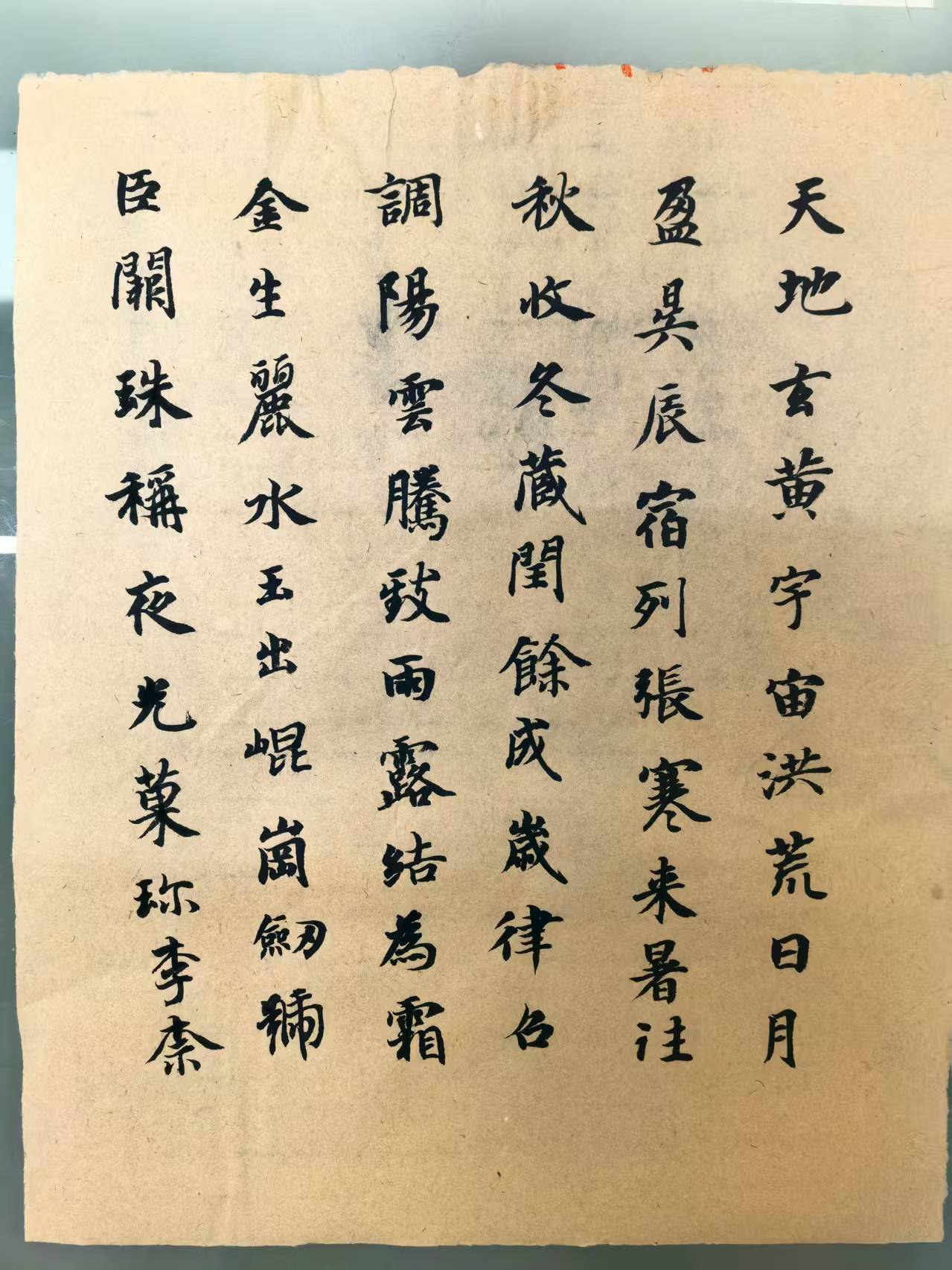 效果展示