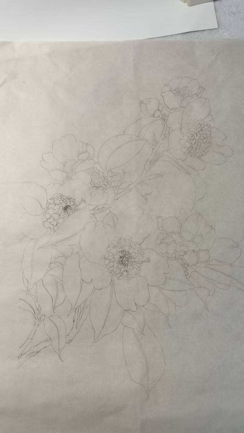 效果展示